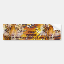Focused on dreams & goals_ bumper sticker
