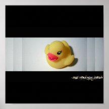 Focusing Ducky Poster