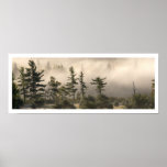 Fog and Conifers in the Morning Print