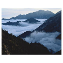 Fog filling the ravines of the Angeles National Fo Flyer Design