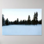 Fog on snow covered meadow poster