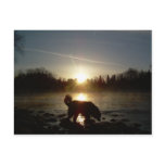 Fog over Mississippi River Post Cards