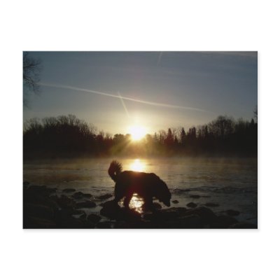 Fog over Mississippi River Post Cards by NiftyMorning