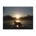 Fog over Mississippi River postcards