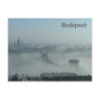 Fog over the Danube river Post Cards