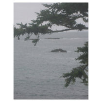 Foggy Day in Crescent City Flyer