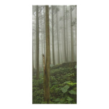 Foggy Forest Custom Rack Cards