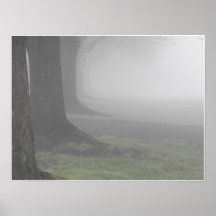 Foggy Mornings 10 Posters