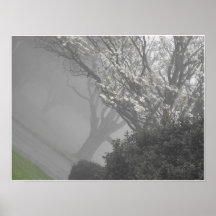 Foggy Mornings 12 Poster