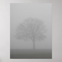 Foggy Mornings 4 Posters