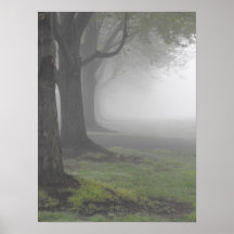 Foggy Mornings 7 Posters