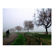 Foggy Rider Postcards