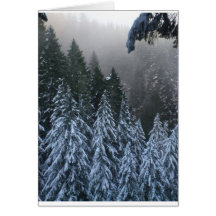 Foggy winters day.. greeting cards