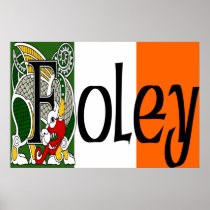 Foley Celtic Dragon Print