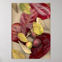 Folhas-017 Print