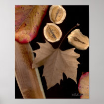 Folhas-087 Poster