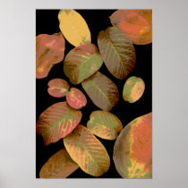 Folhas-176 Posters