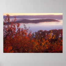Foliage and Fog at Quabbin Reservoir Poster