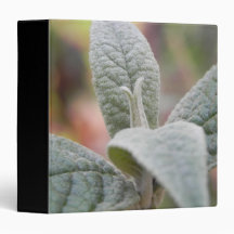 Foliage - Butterfly Bush 3 Ring Binder