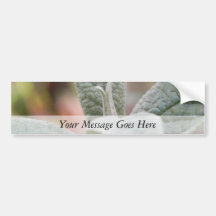 Foliage - Butterfly Bush Bumper Sticker