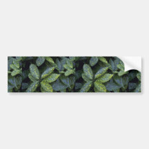 Foliage texture bumper sticker