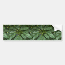 Foliage texture bumper sticker