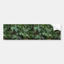 Foliage texture bumper stickers