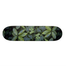 Foliage texture skate deck