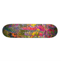 Foliage Vermont Skateboards