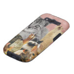 Folies félines coque samsung galaxy s3