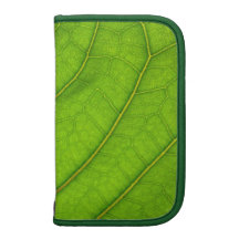 Folio vert de feuille agenda folio