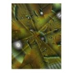 Foliole Gust Post Cards