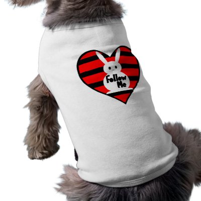 Follow Me White Rabbit Dog Clothing by QueenHare