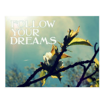 Follow your dreams postcard