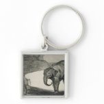Folly of Beasts Keychains