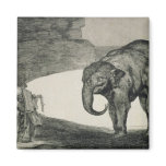 Folly of Beasts Fridge Magnet