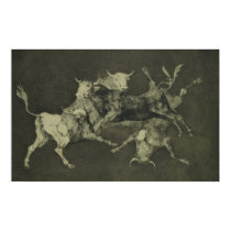 Folly of the Bulls posters