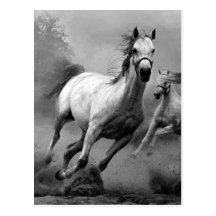 Fonctionnement de cheval cartes postales