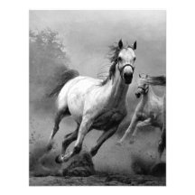 Fonctionnement de cheval invitations personnalisées