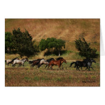 Fonctionnement de chevaux sauvages cartes