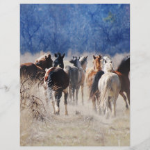 Fonctionnement de chevaux sauvages tract customisé