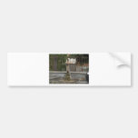 Fontana Bumper Sticker