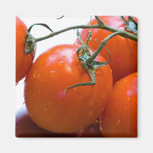 FOOD MAGNET
