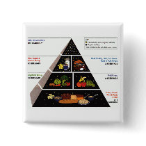 Food Pyramid Buttons