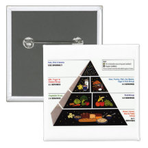 Food Pyramid Buttons
