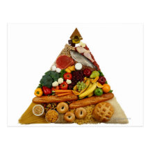Food Pyramid Post Card