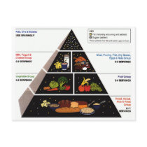 Food Pyramid Postcards