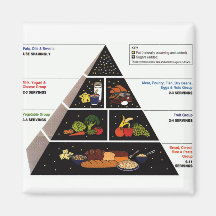 Food Pyramid Refrigerator Magnet