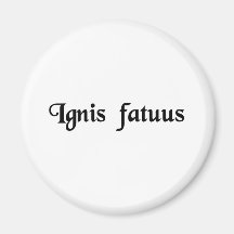Foolish fire fridge magnet