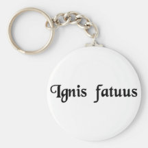 Foolish fire key chains